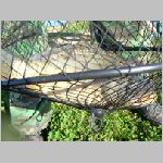 Tust 13.10.2008-33.JPG